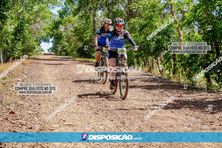 Circuito Regional de MTB - 5ª Etapa - Ângulo