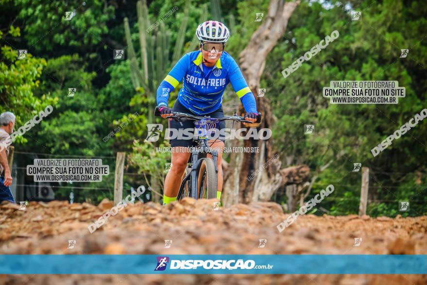 2º Desafio Pedala Sarandi