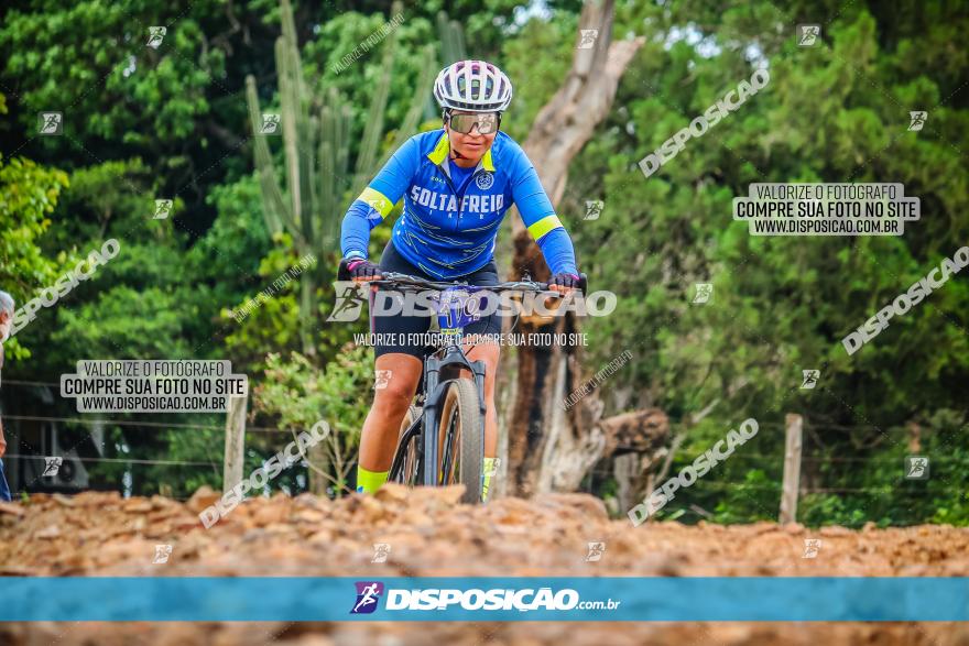 2º Desafio Pedala Sarandi