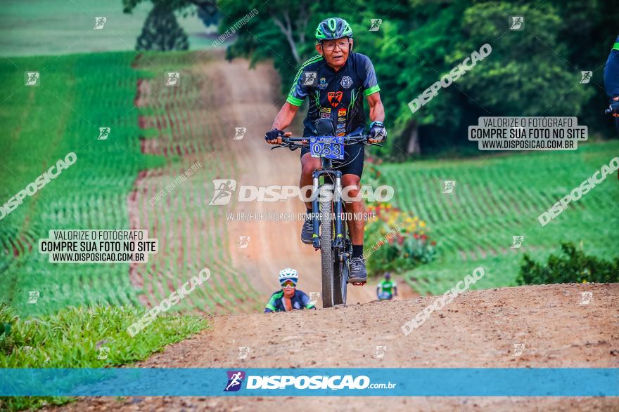 2º Desafio Pedala Sarandi