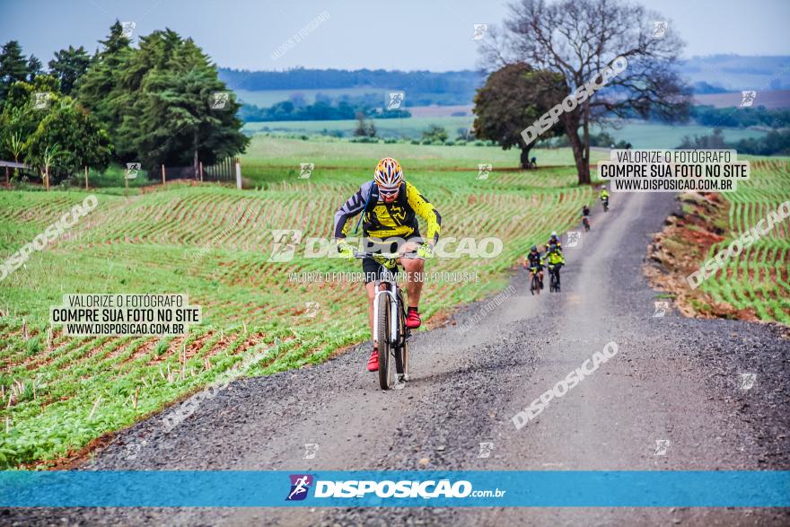 2º Desafio Pedala Sarandi