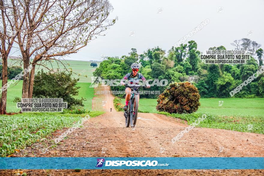 2º Desafio Pedala Sarandi