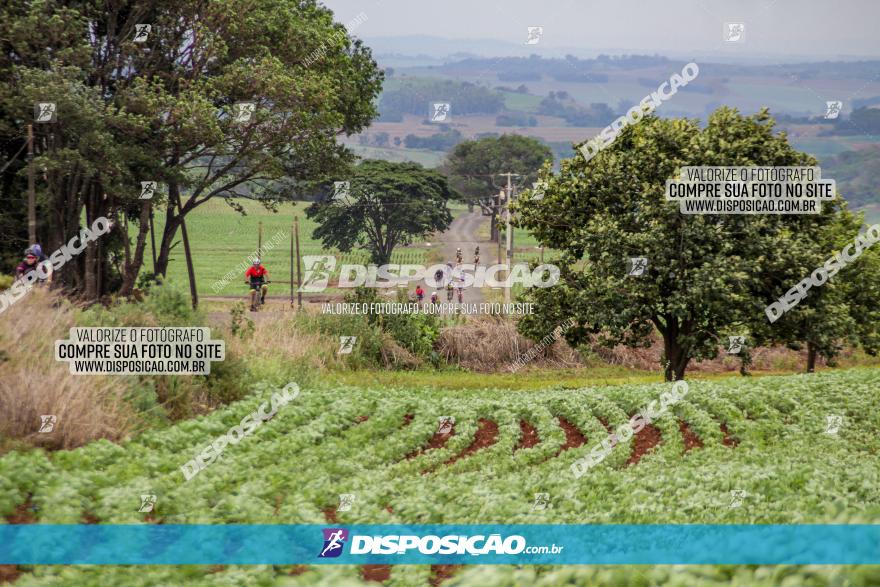 2º Desafio Pedala Sarandi