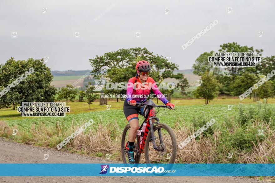 2º Desafio Pedala Sarandi