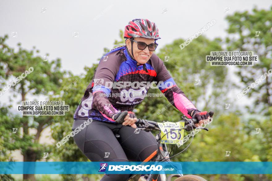 2º Desafio Pedala Sarandi