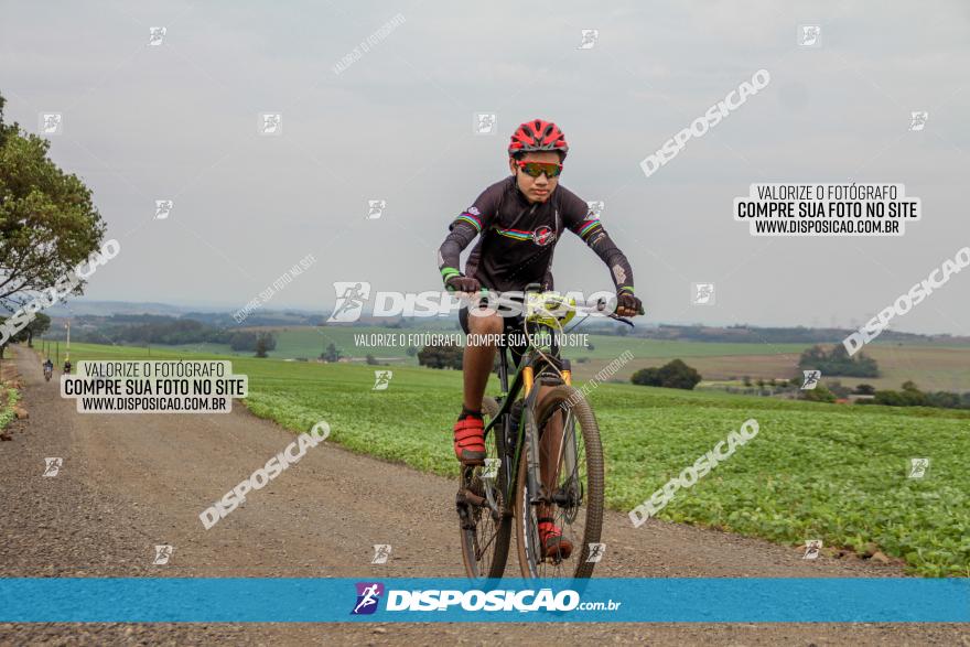 2º Desafio Pedala Sarandi