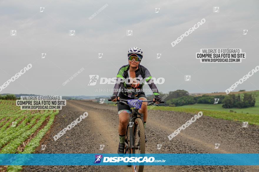 2º Desafio Pedala Sarandi