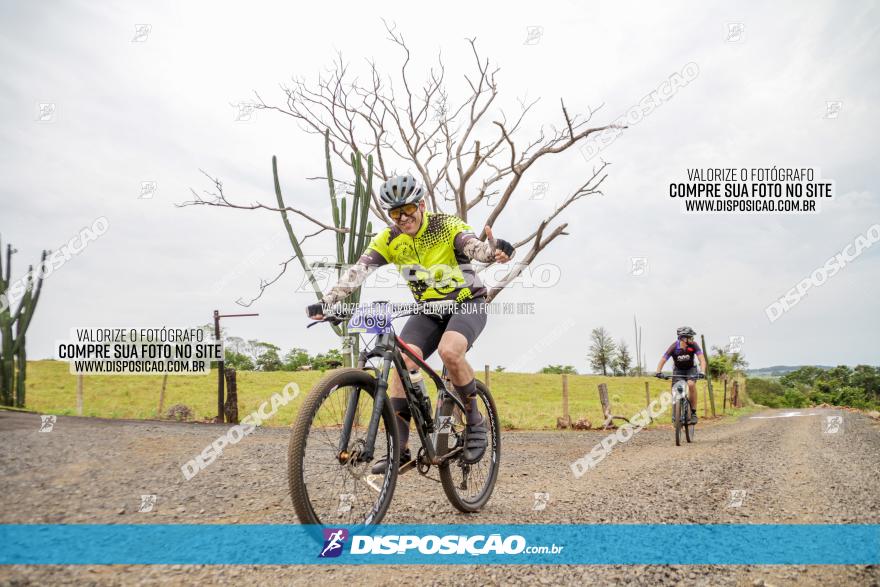 2º Desafio Pedala Sarandi