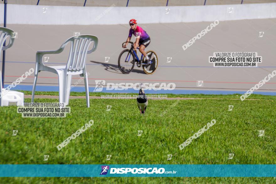 Taça Brasil de Ciclismo de Pista 2022