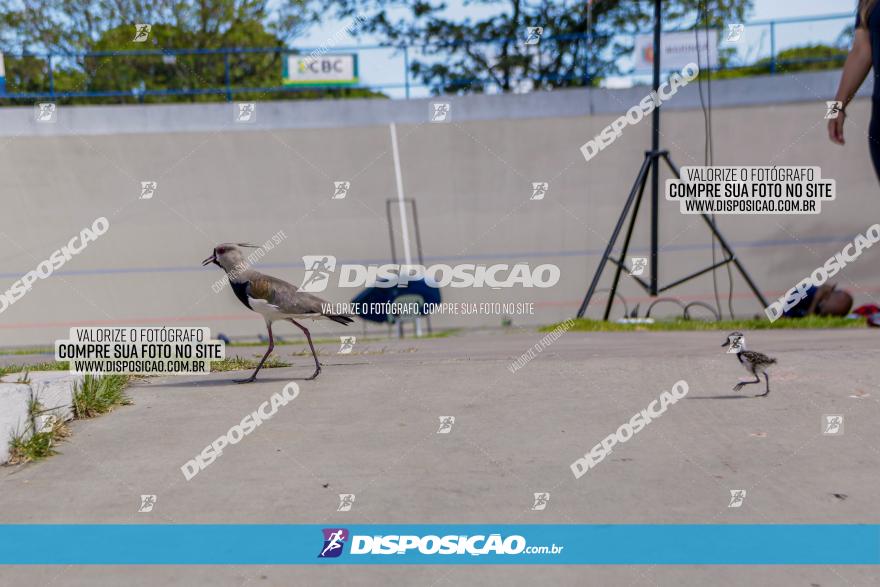 Taça Brasil de Ciclismo de Pista 2022