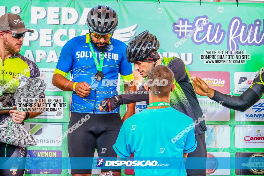 1º PEDAL ESPECIAL EM PROL DA APAE DE PAIÇANDU