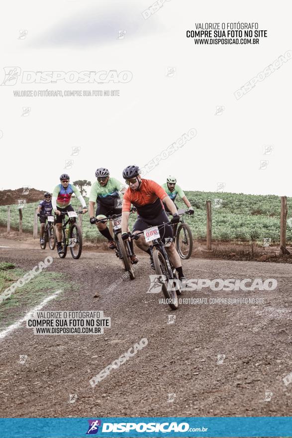 3º Desafio MTB na Veia