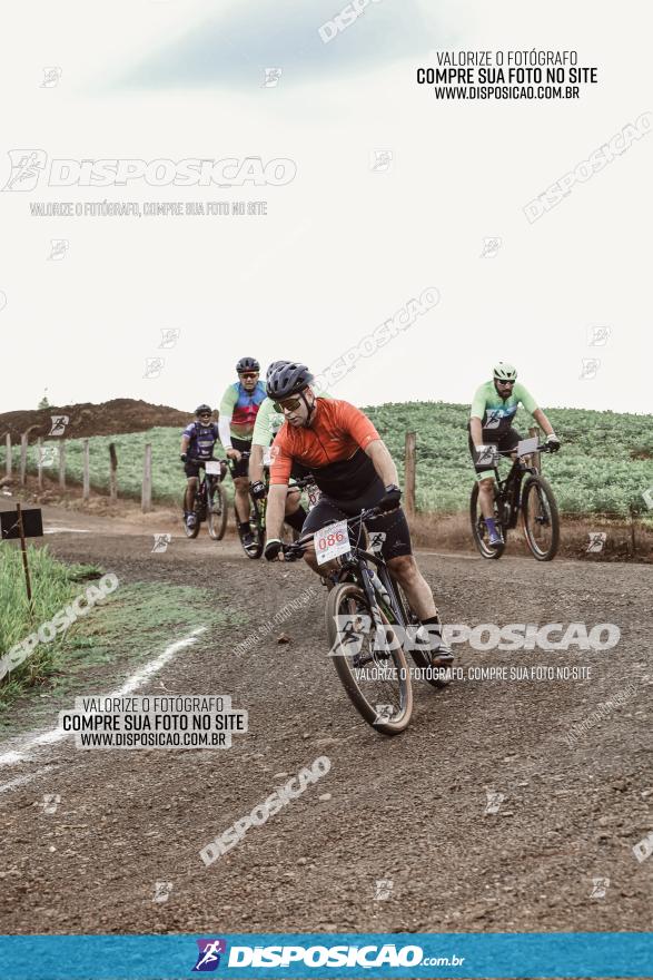 3º Desafio MTB na Veia