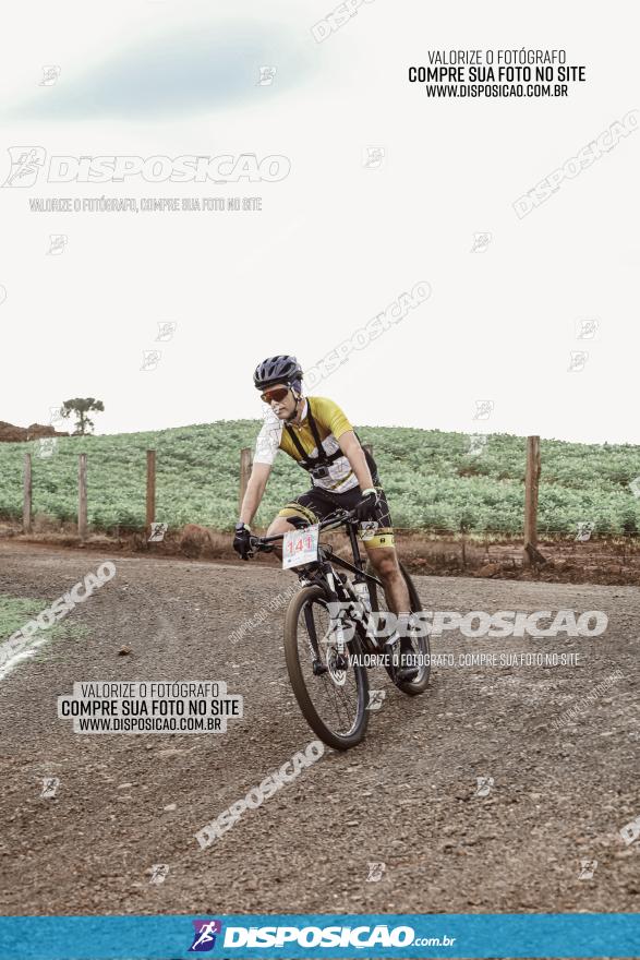 3º Desafio MTB na Veia