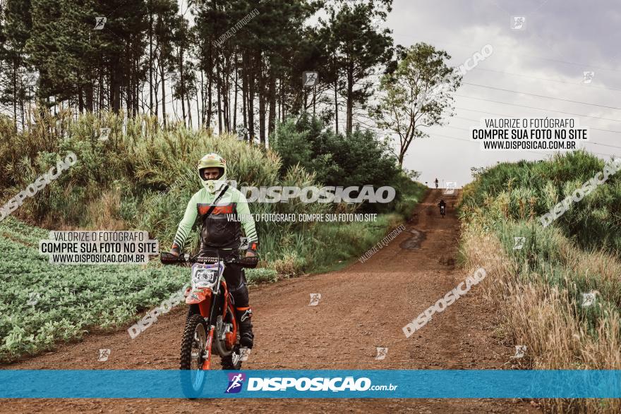 3º Desafio MTB na Veia