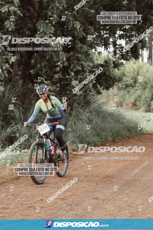 3º Desafio MTB na Veia