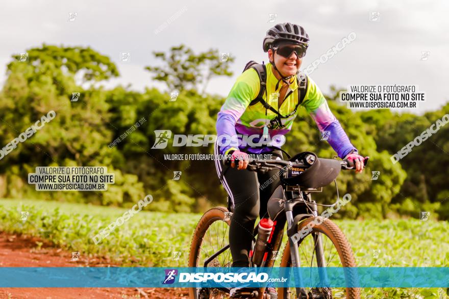 3º Desafio MTB na Veia