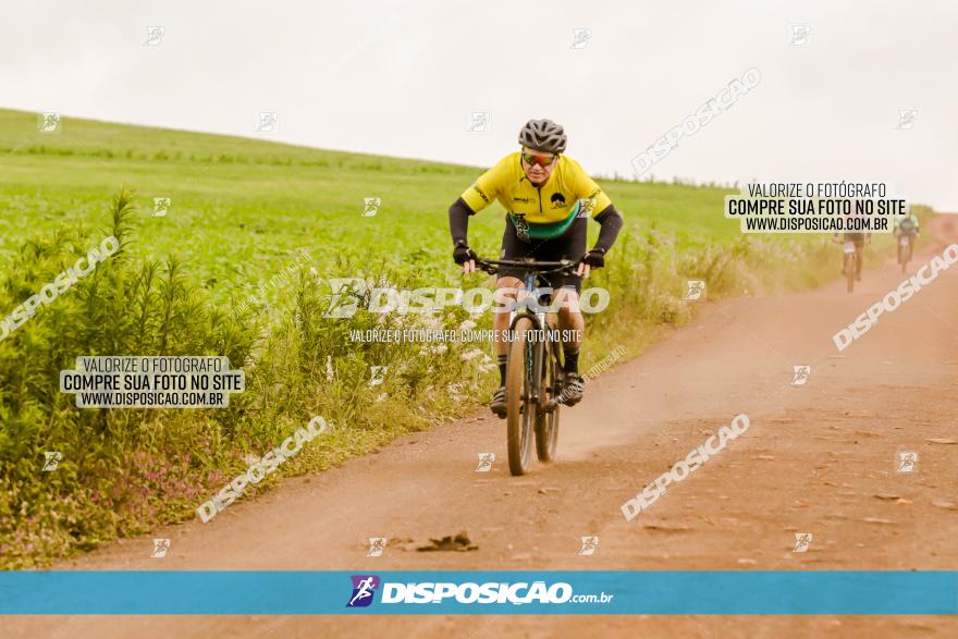 3º Desafio MTB na Veia