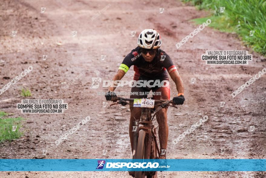 Circuito Metropolitano de Cicloturismo - 3ª Etapa