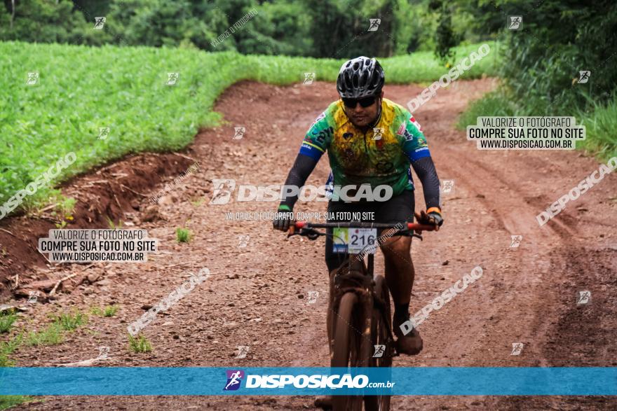 Circuito Metropolitano de Cicloturismo - 3ª Etapa