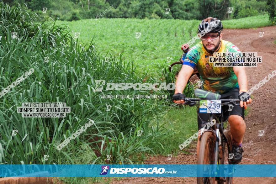 Circuito Metropolitano de Cicloturismo - 3ª Etapa