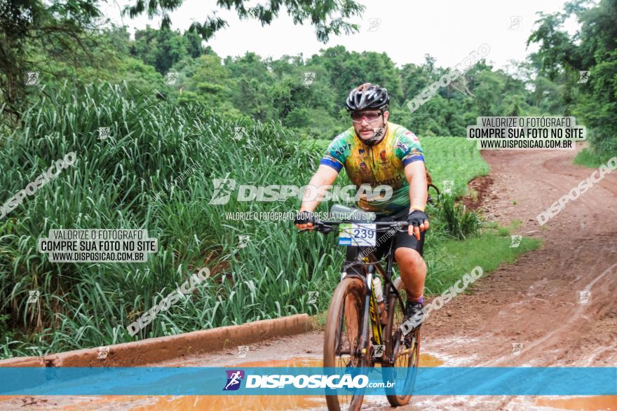 Circuito Metropolitano de Cicloturismo - 3ª Etapa