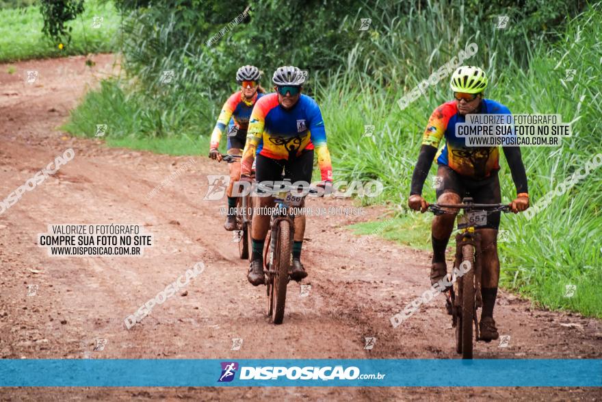 Circuito Metropolitano de Cicloturismo - 3ª Etapa