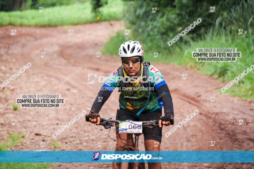 Circuito Metropolitano de Cicloturismo - 3ª Etapa