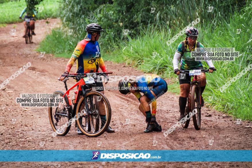 Circuito Metropolitano de Cicloturismo - 3ª Etapa