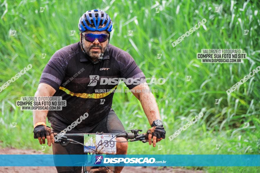 Circuito Metropolitano de Cicloturismo - 3ª Etapa