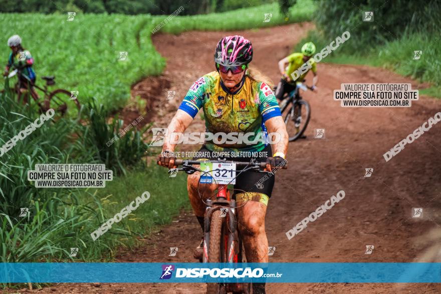 Circuito Metropolitano de Cicloturismo - 3ª Etapa