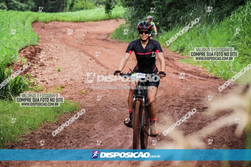 Circuito Metropolitano de Cicloturismo - 3ª Etapa