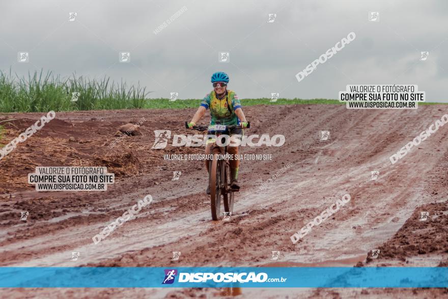 Circuito Metropolitano de Cicloturismo - 3ª Etapa