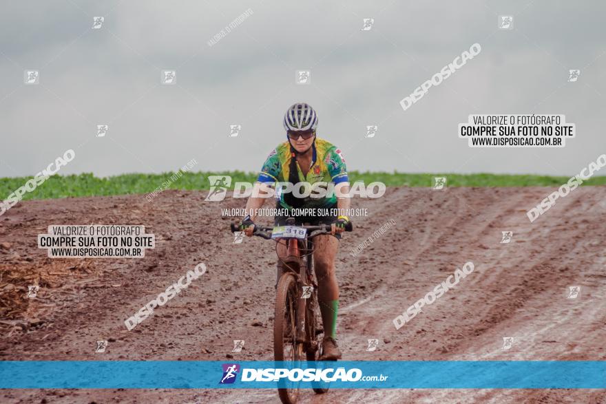 Circuito Metropolitano de Cicloturismo - 3ª Etapa