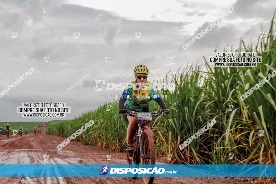 Circuito Metropolitano de Cicloturismo - 3ª Etapa