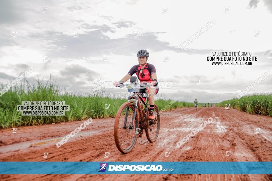 Circuito Metropolitano de Cicloturismo - 3ª Etapa