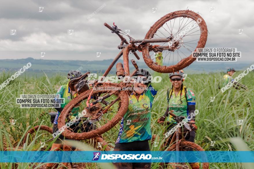 Circuito Metropolitano de Cicloturismo - 3ª Etapa