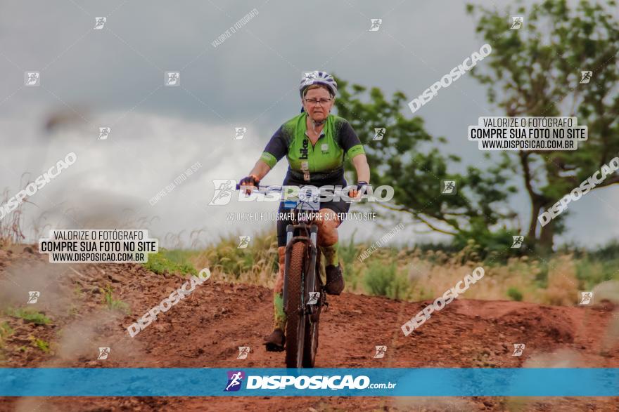 Circuito Metropolitano de Cicloturismo - 3ª Etapa