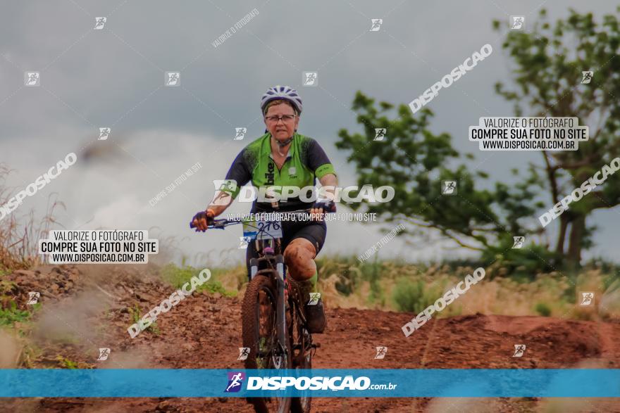 Circuito Metropolitano de Cicloturismo - 3ª Etapa