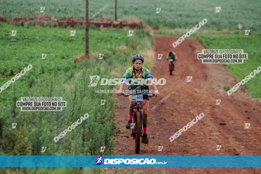 Circuito Metropolitano de Cicloturismo - 3ª Etapa