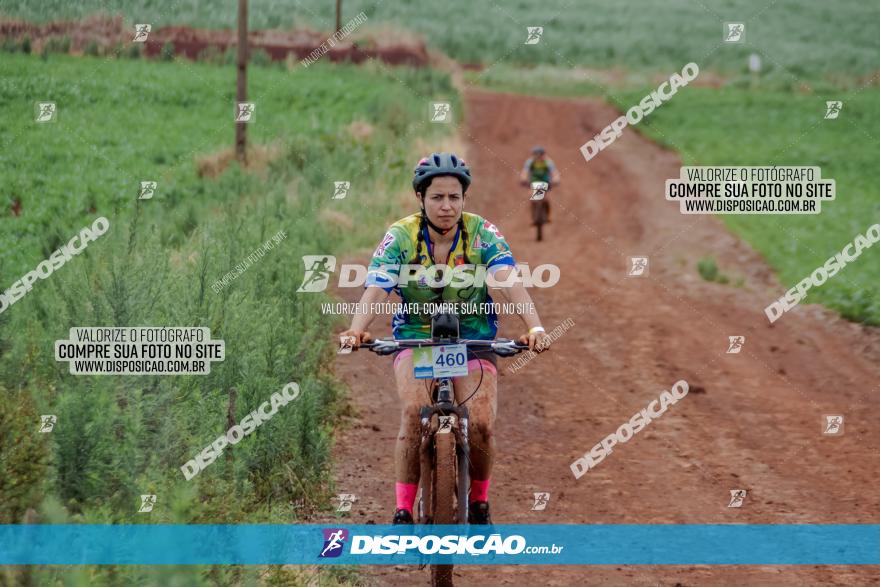 Circuito Metropolitano de Cicloturismo - 3ª Etapa