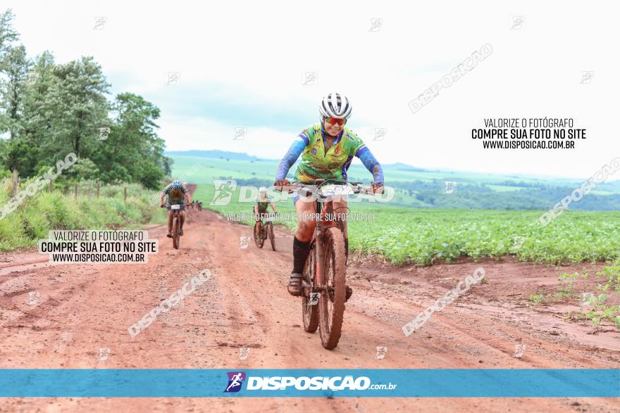 Circuito Metropolitano de Cicloturismo - 3ª Etapa