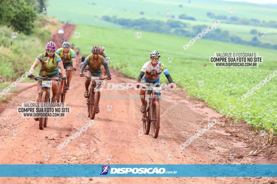 Circuito Metropolitano de Cicloturismo - 3ª Etapa