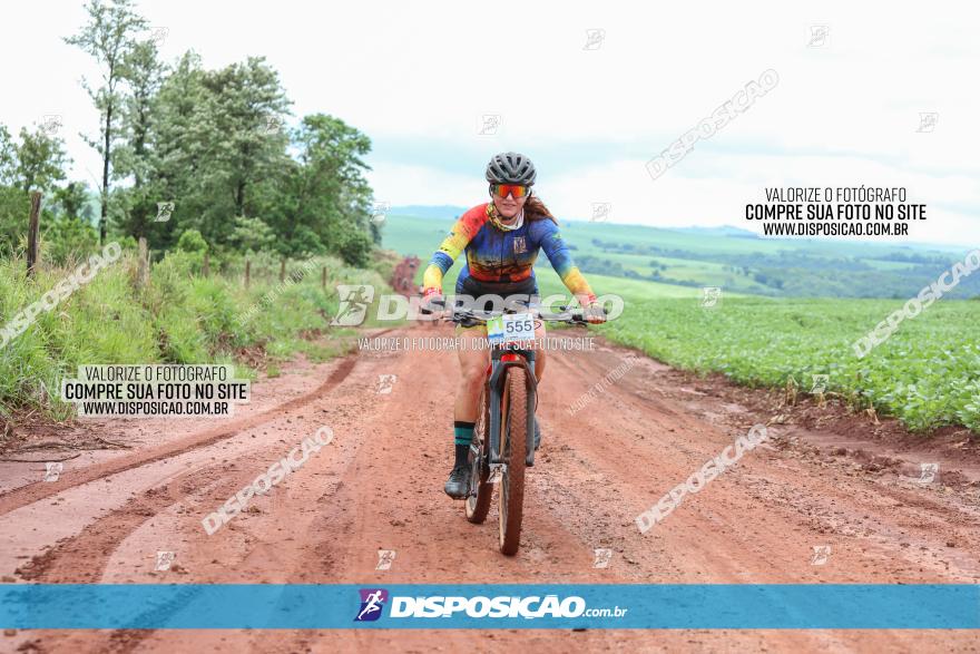 Circuito Metropolitano de Cicloturismo - 3ª Etapa