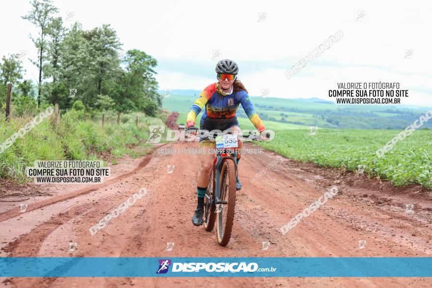 Circuito Metropolitano de Cicloturismo - 3ª Etapa