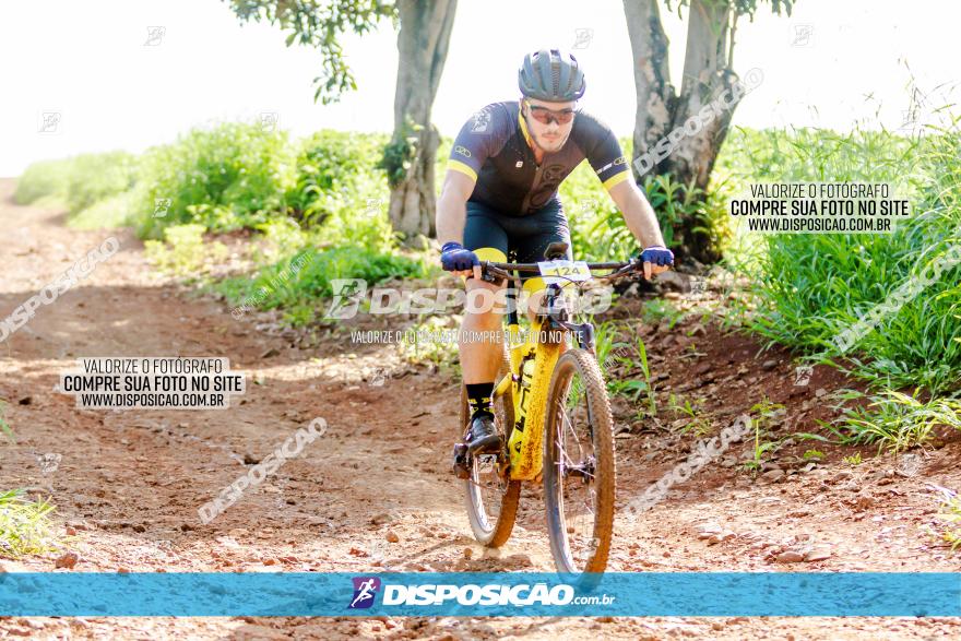 Circuito Decathlon Off Road - Etapa 4 - Pedreira