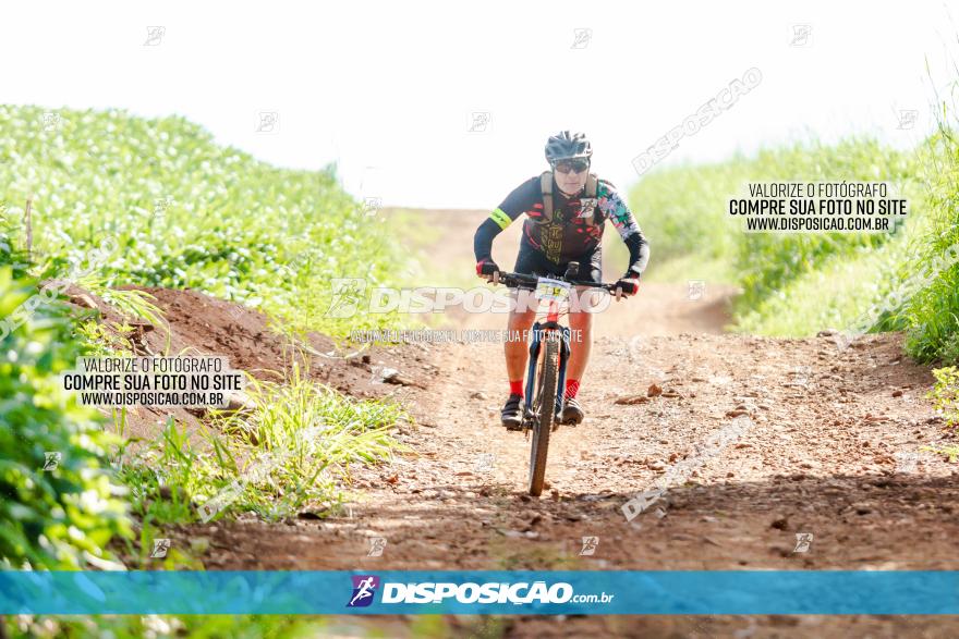 Circuito Decathlon Off Road - Etapa 4 - Pedreira