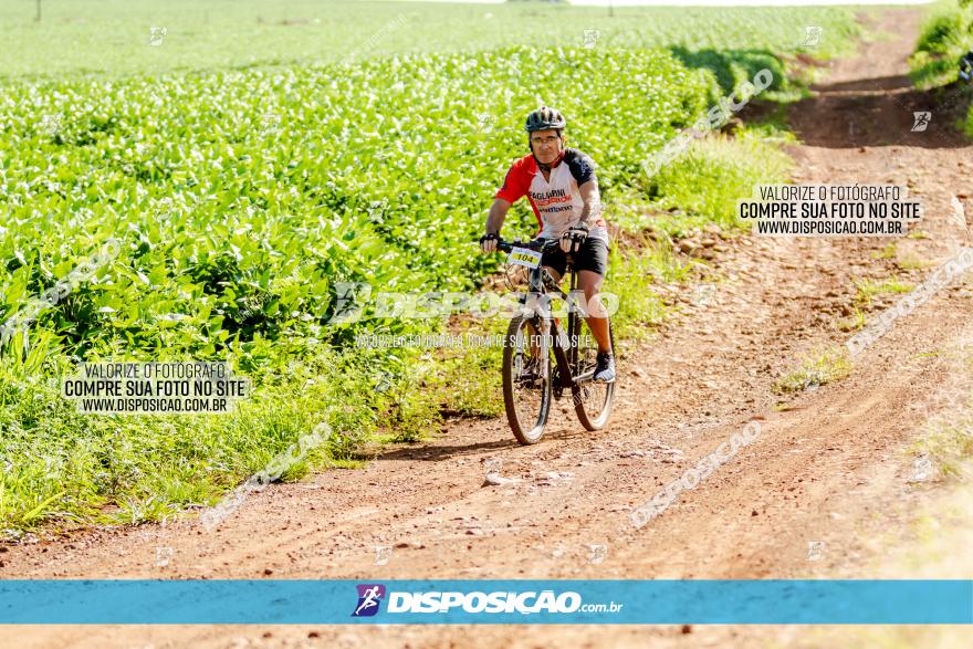 Circuito Decathlon Off Road - Etapa 4 - Pedreira