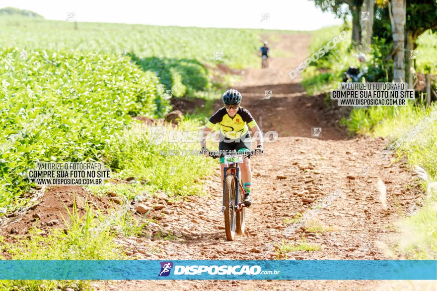 Circuito Decathlon Off Road - Etapa 4 - Pedreira