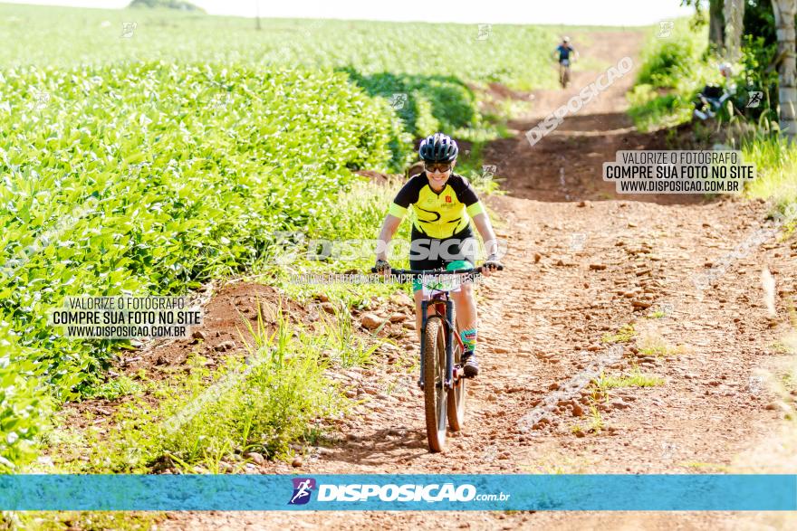 Circuito Decathlon Off Road - Etapa 4 - Pedreira